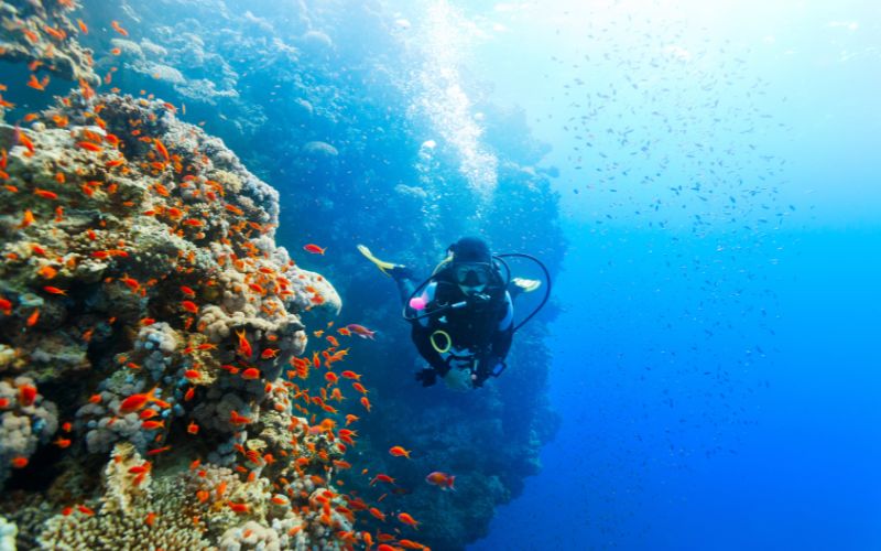 British Virgin Island scuba diving
