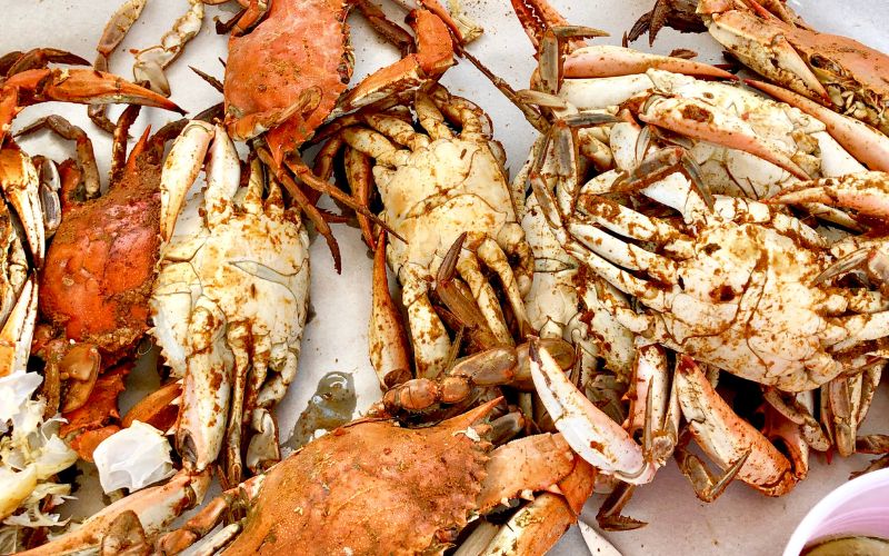 British Virgin Islands local crab cuisine