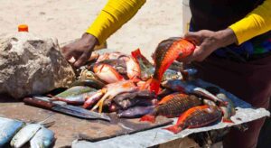 Caribbean Fish Market on Beach
