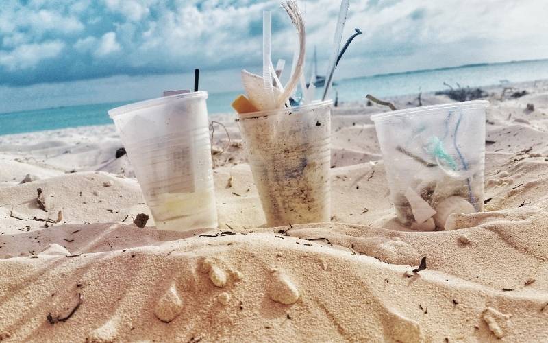 Plastic Trash Collection at Treasure Cay Resort, Abaco island Bahamas