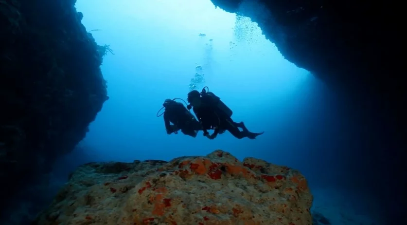 Diving in Bahamas