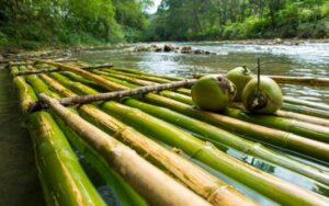 Bamboo River Rafting at Jamaica