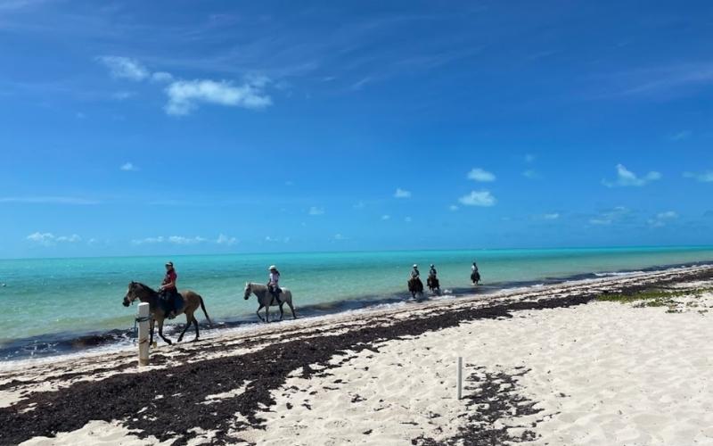 Horse Riding at Long Bay Beach, Turks and Caicos Islands