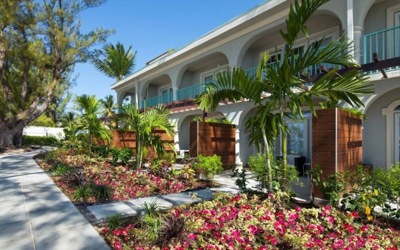 Mini garden at The Westin Grand Cayman, Grand Cayman Island Cayman Island