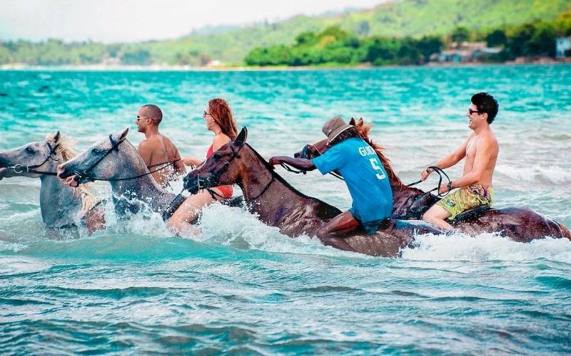 Swim with Horses at Saint Ann, Jamaica