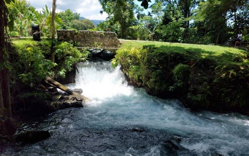 The Roaring River & the Cave, Jamaica