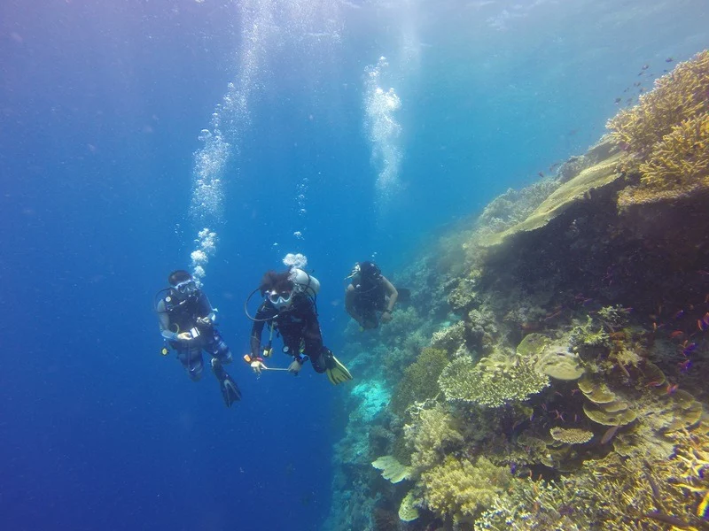 Grand Cayman Diving​