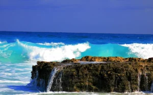 Bahamas Ocean Wave
