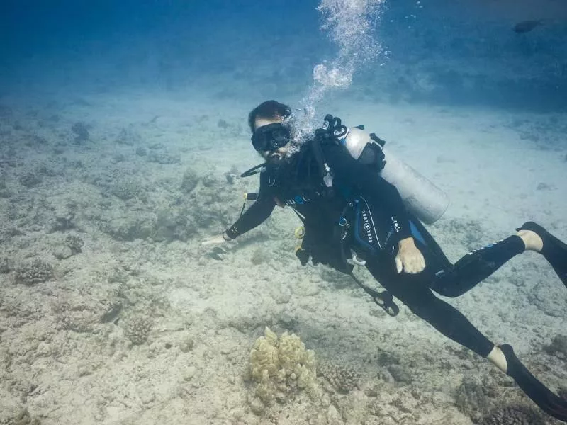 Scuba diving at the Horseshoe Reef