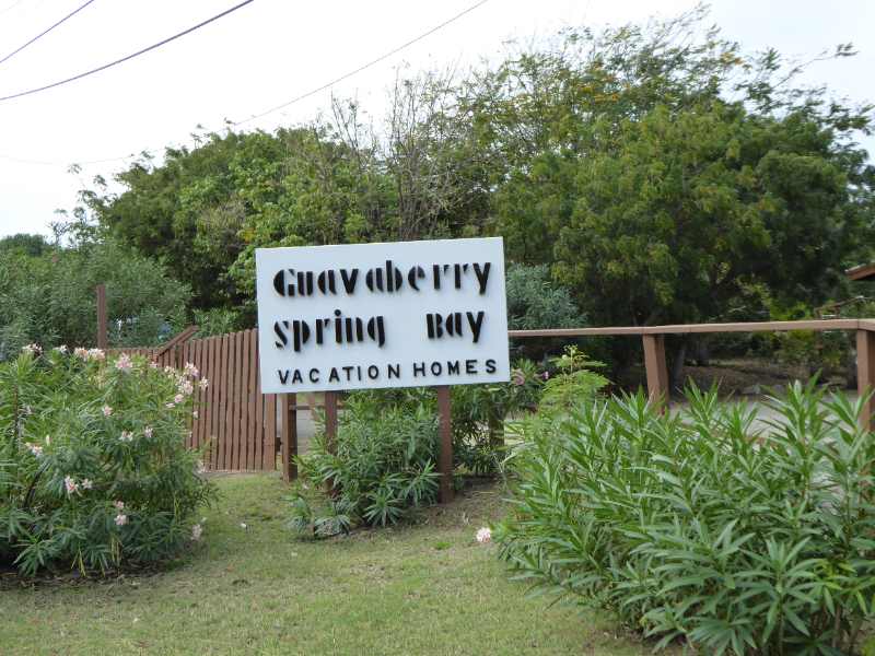 Guavaberry Spring Bay​